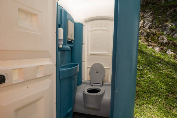 Best Sanitation services for porta potties  in Ionia, MI
