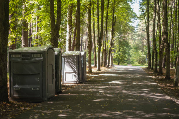 Best Luxury portable toilet rental  in Ionia, MI